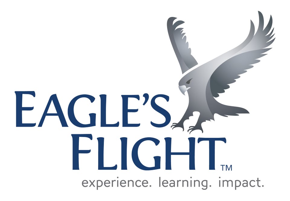 Eagle's Flight Logo