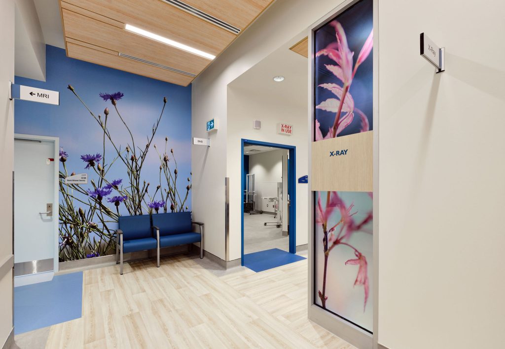 GGH Speedvale Campus Phase 1 Interior - Waiting Area X-Ray 2